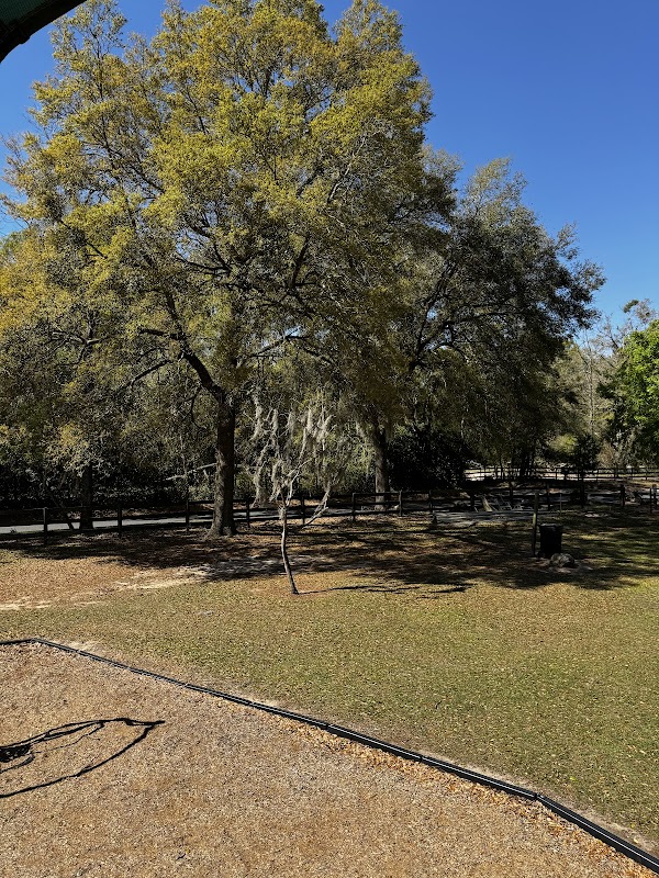 Memorial Park grounds