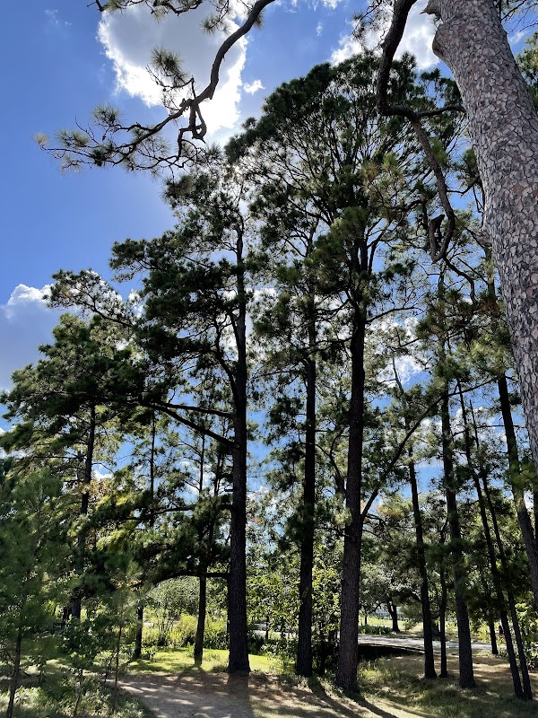 Memorial Park grounds