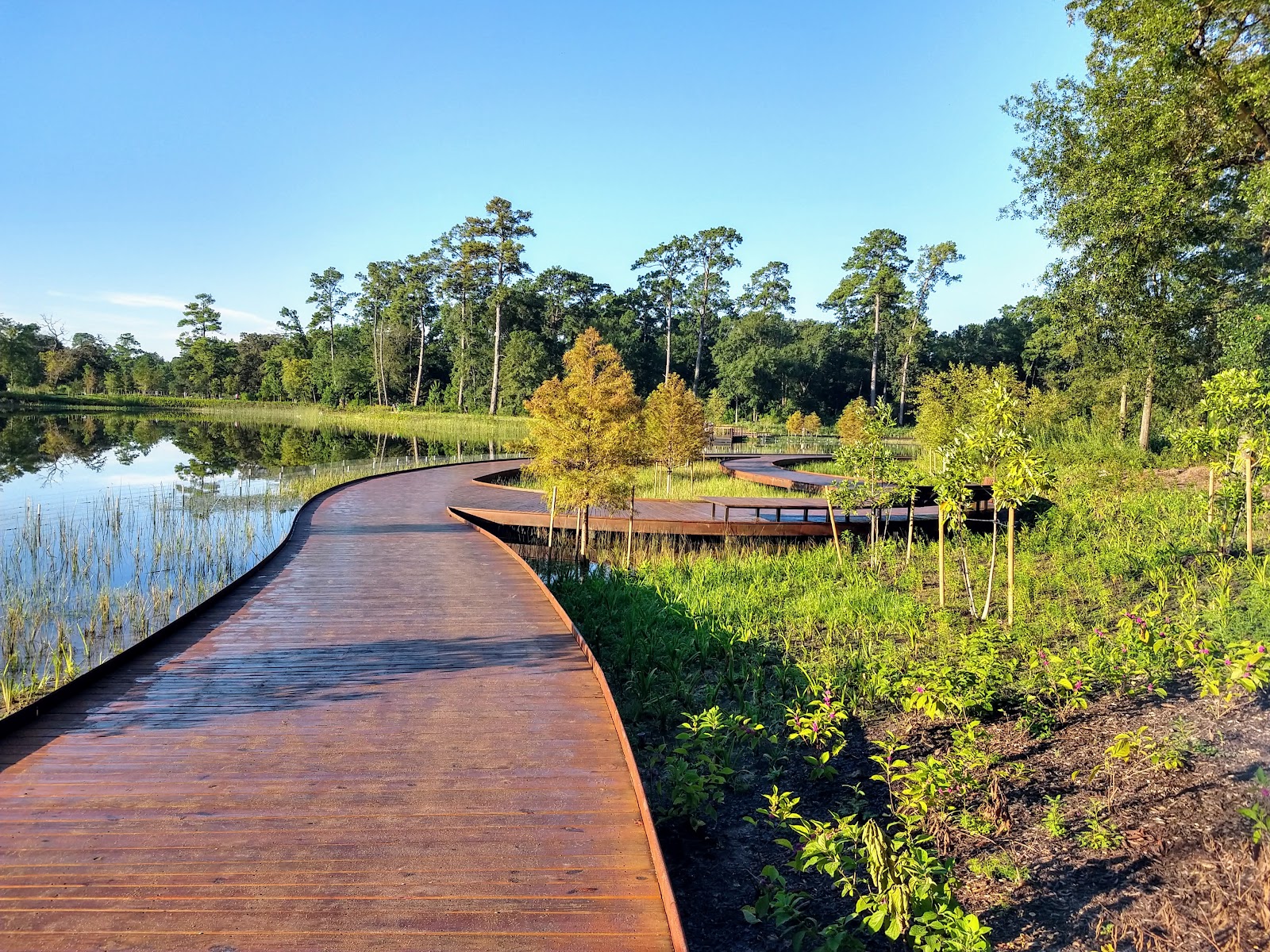 Memorial Park cemetery grounds and headstones