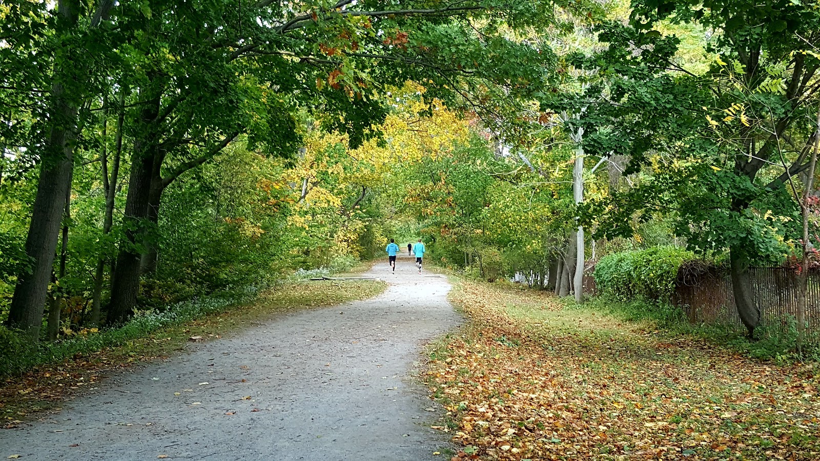 Memorial Park cemetery grounds and headstones