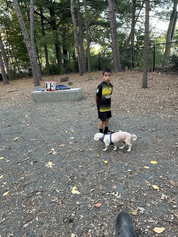 Memorial Park grounds