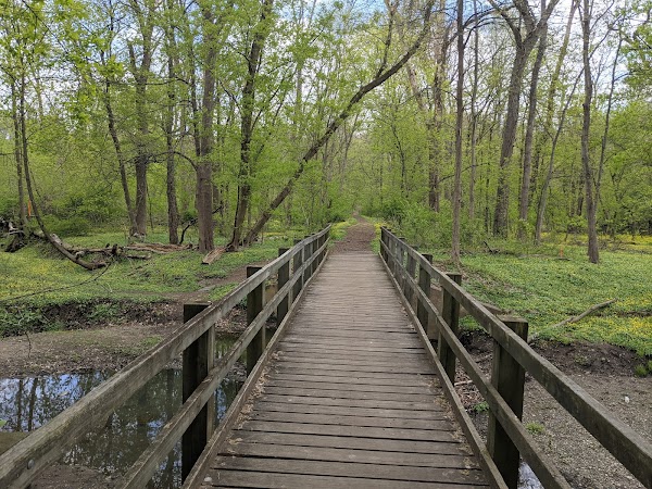 Memorial Park grounds