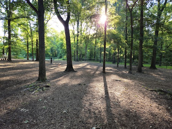 Memorial Park grounds