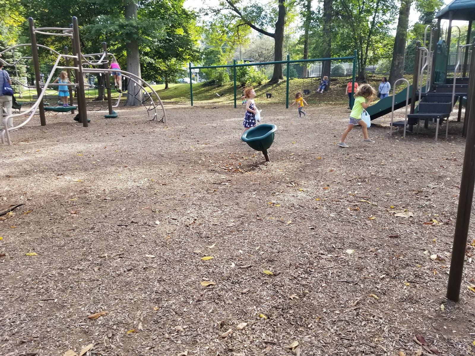 Memorial Park cemetery grounds and headstones