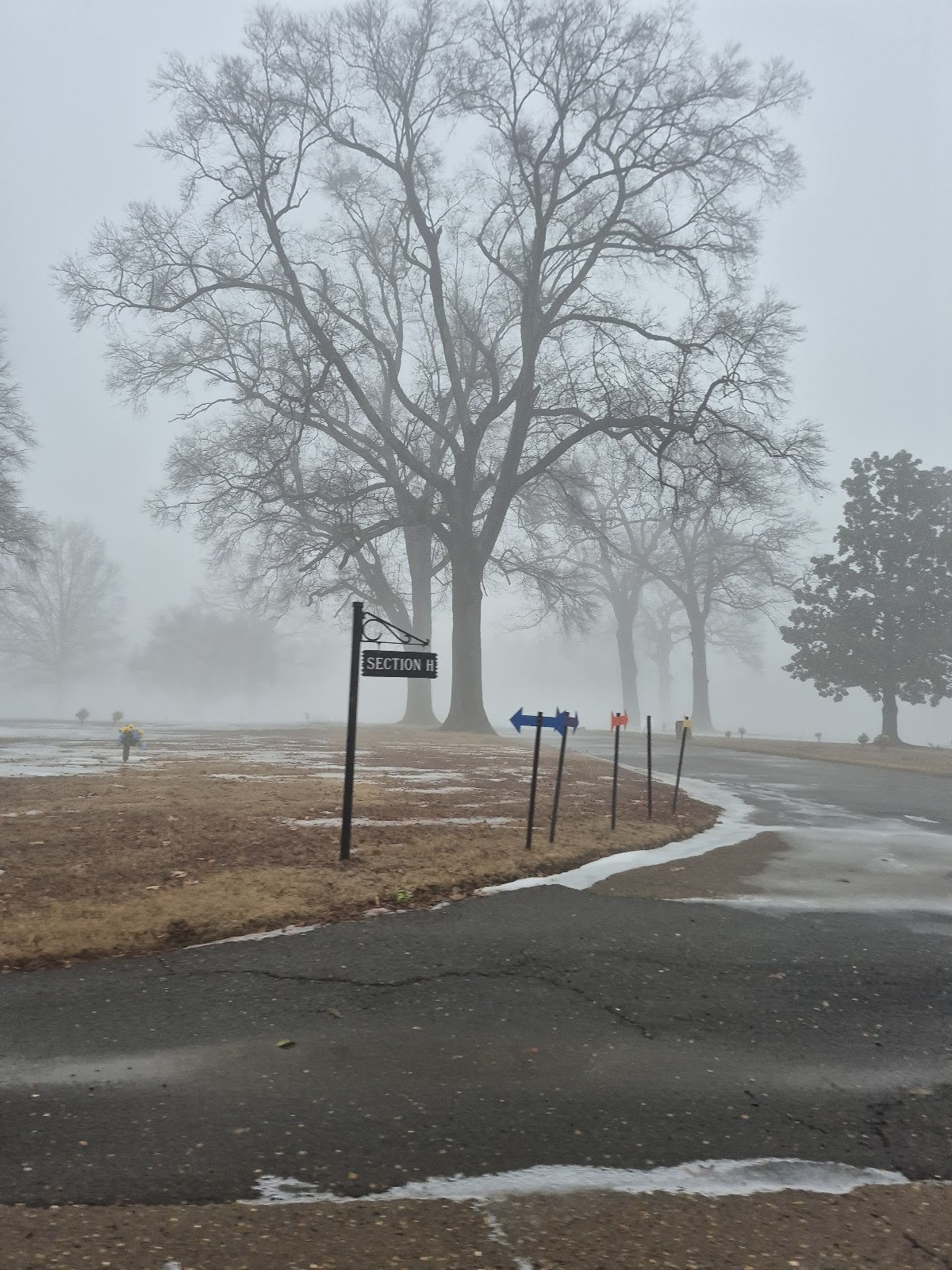 Memorial park cemetery grounds and headstones