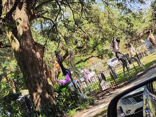 Memorial Park grounds