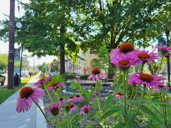 Memorial Park grounds