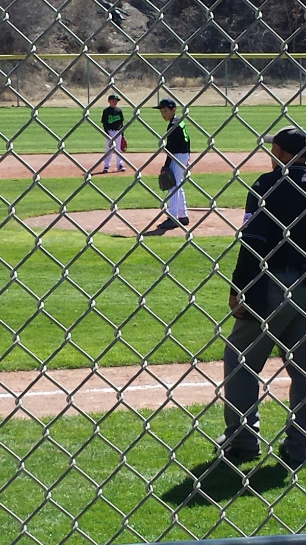 Memorial Park grounds