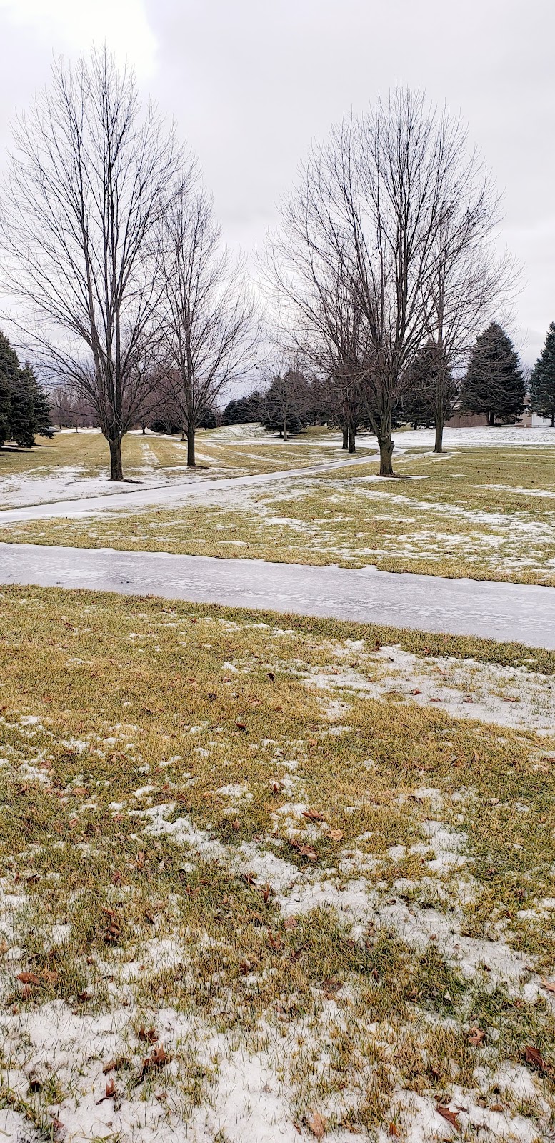 Memorial Park cemetery grounds and headstones
