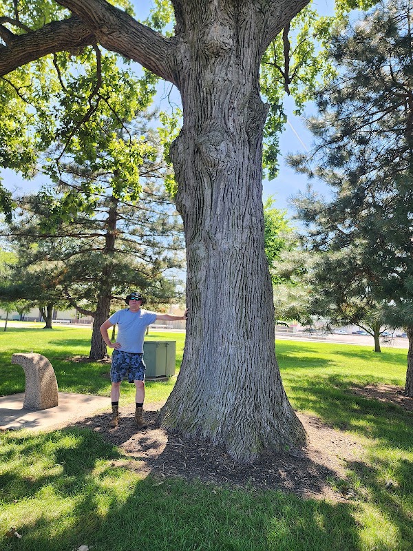 Memorial Park grounds