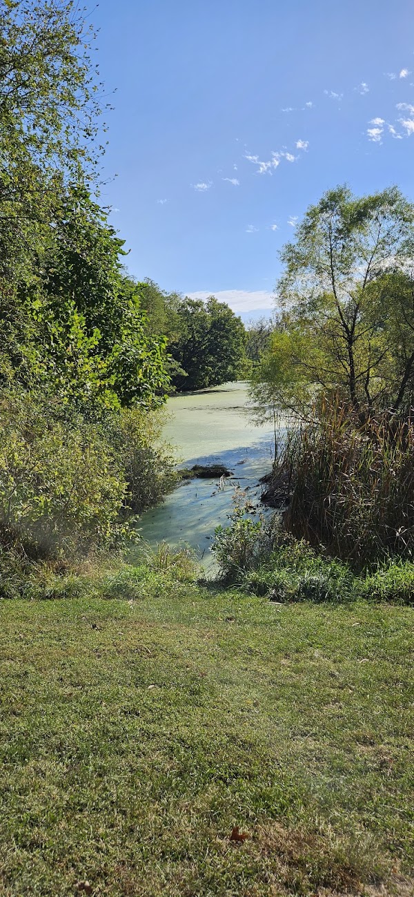 Memorial Park grounds