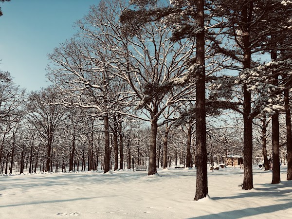 Memorial Park grounds