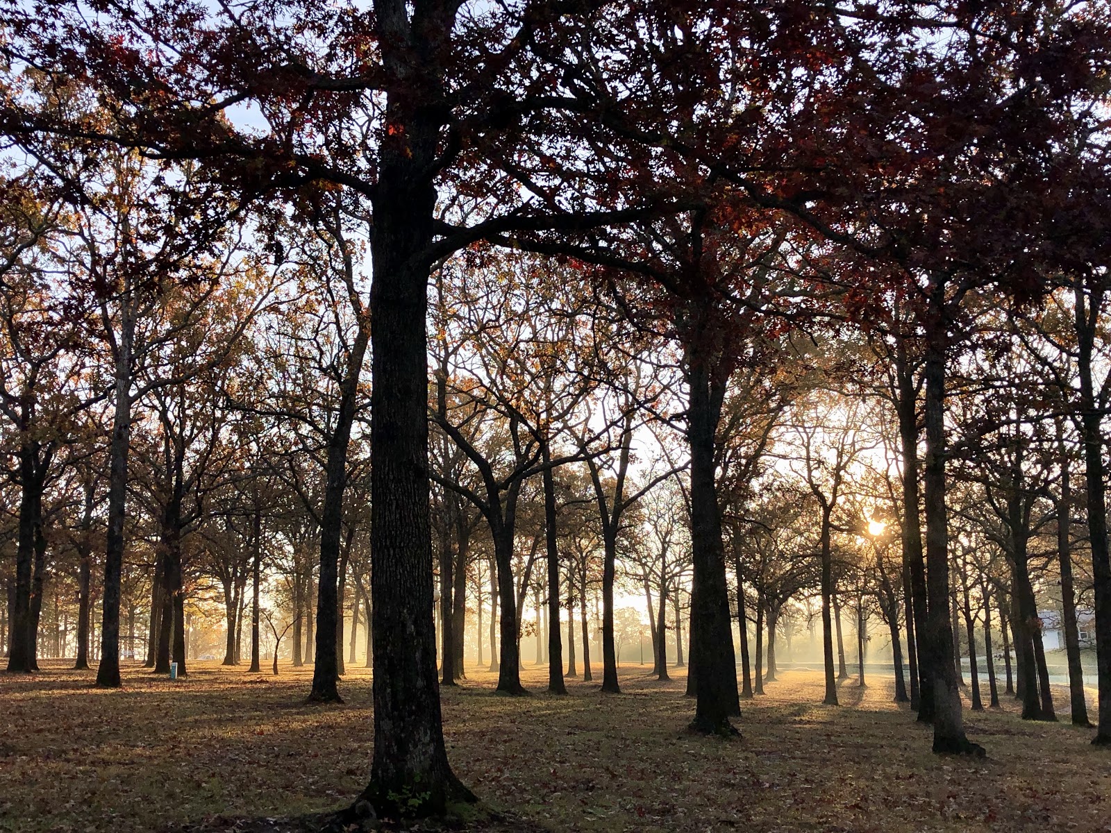 Memorial Park