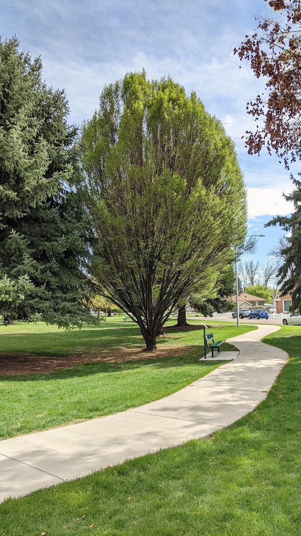Memorial Park grounds