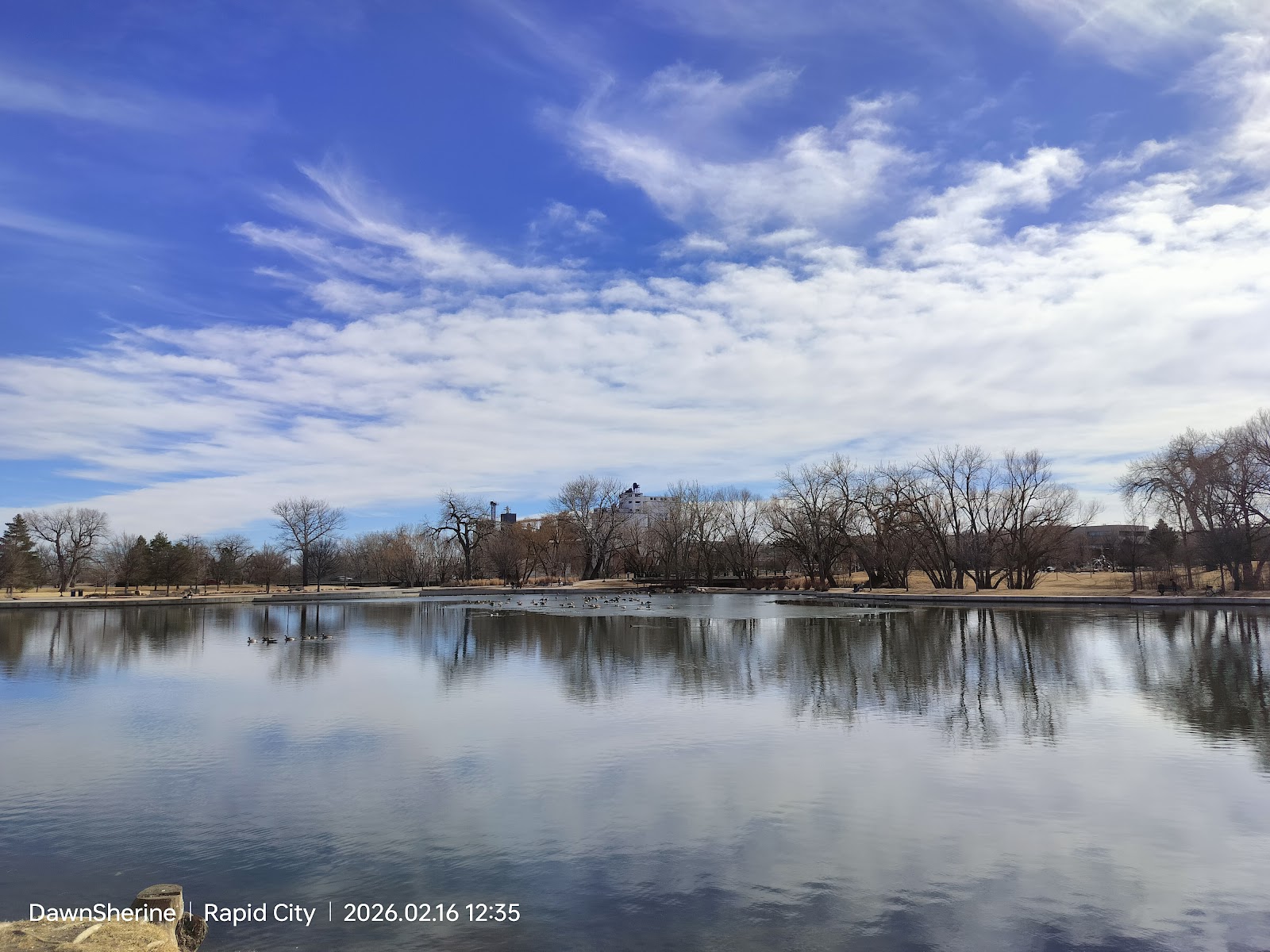 Memorial Park cemetery grounds and headstones