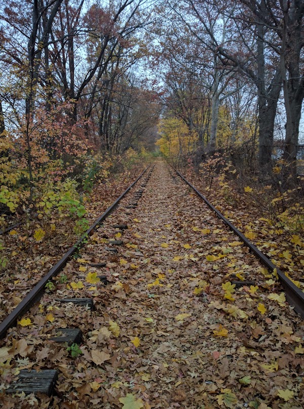 Memorial Park grounds