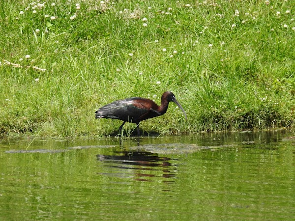 Memorial Park grounds