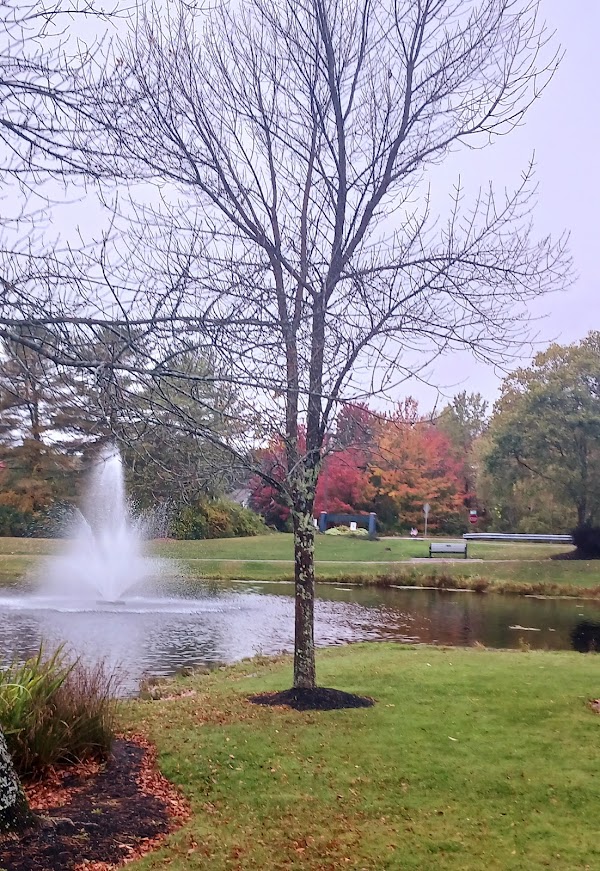 Memorial Park grounds