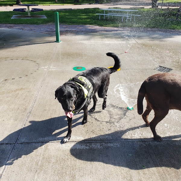 Memorial Park Splash Pad grounds