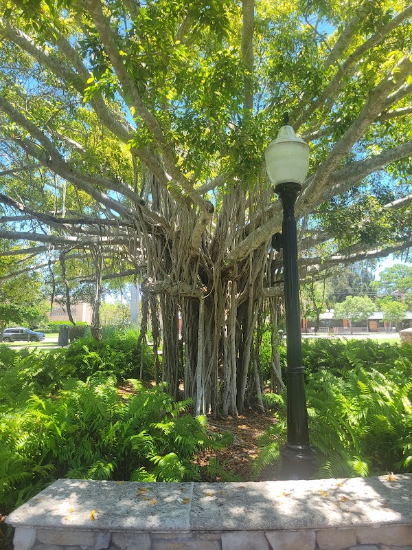 Memorial Park grounds