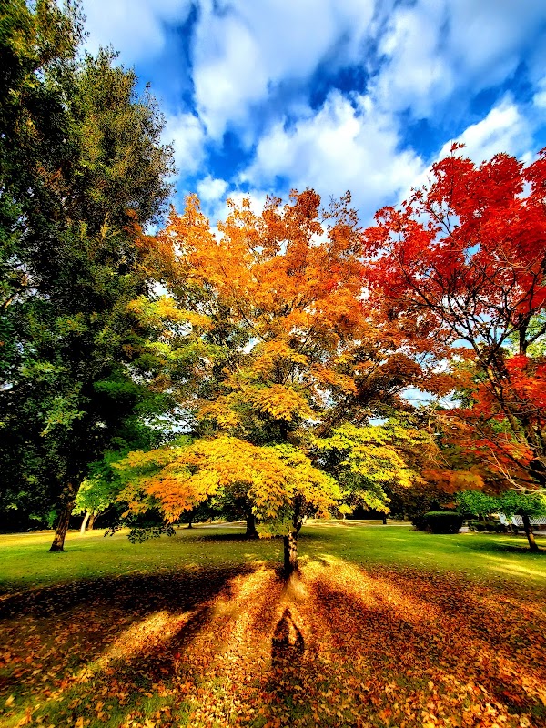 Memorial Park grounds