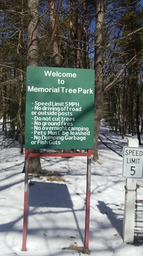 Memorial Tree Park grounds