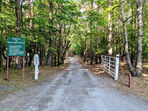 Memorial Tree Park grounds