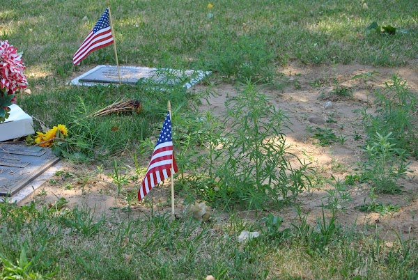 Memory Gardens Cemetery grounds
