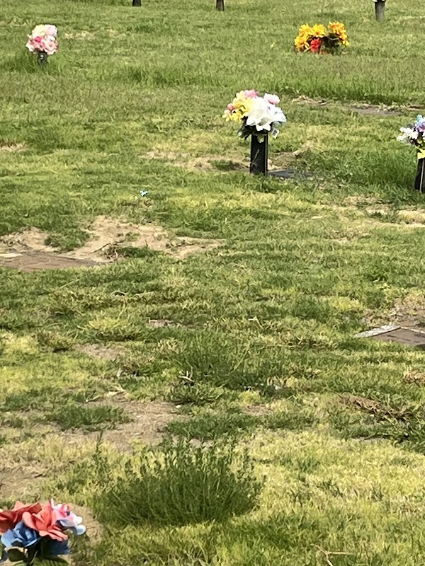 Memory Gardens of the Valley grounds