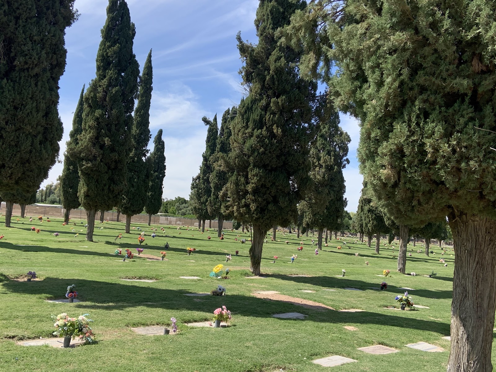 Mesa Cemetery cemetery grounds and headstones