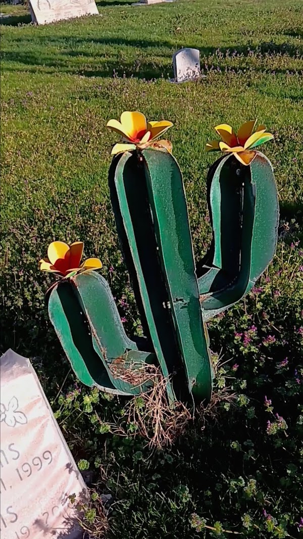 Mesquite City Cemetery grounds