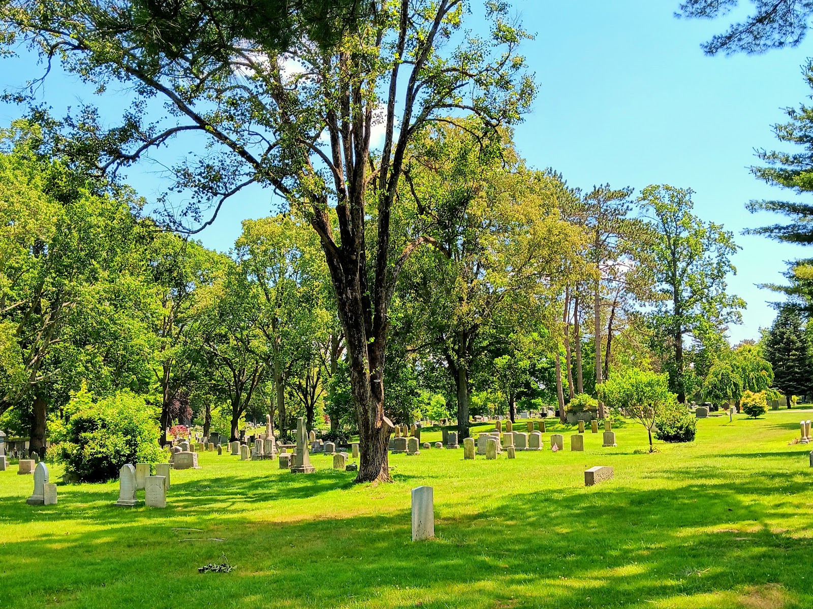 Milton Cemetery cemetery grounds and headstones