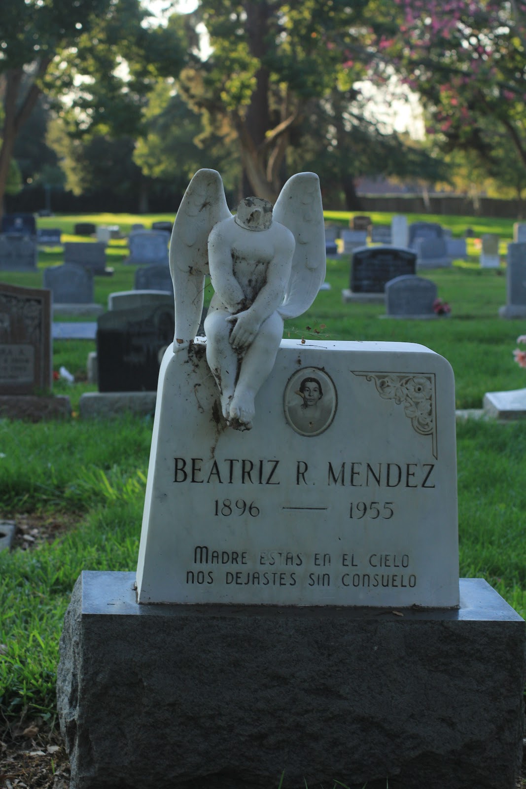 Mission City Memorial Park cemetery grounds and headstones