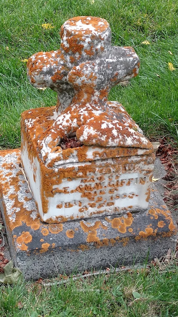 Missoula City Cemetery grounds