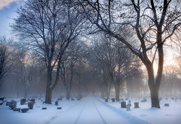 Missoula City Cemetery grounds