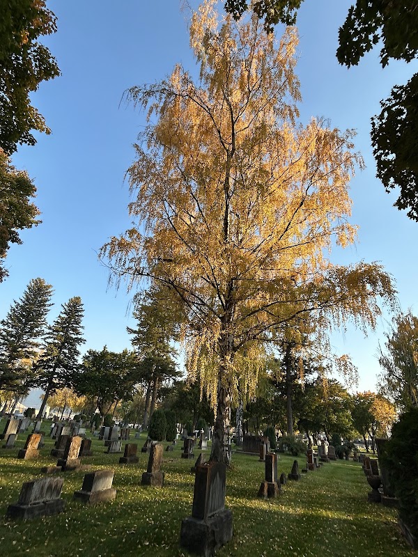 Missoula City Cemetery grounds