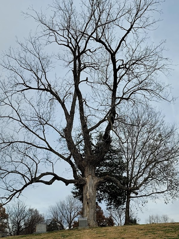 Missouri City Cemetery grounds