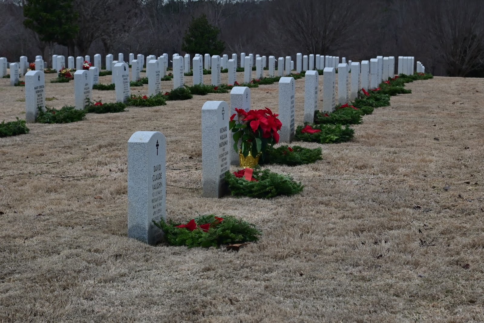 M.J. "Dolly" Cooper Veterans Cemetery