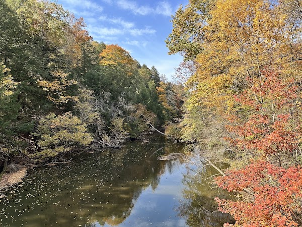 Mohican-Memorial State Forest grounds
