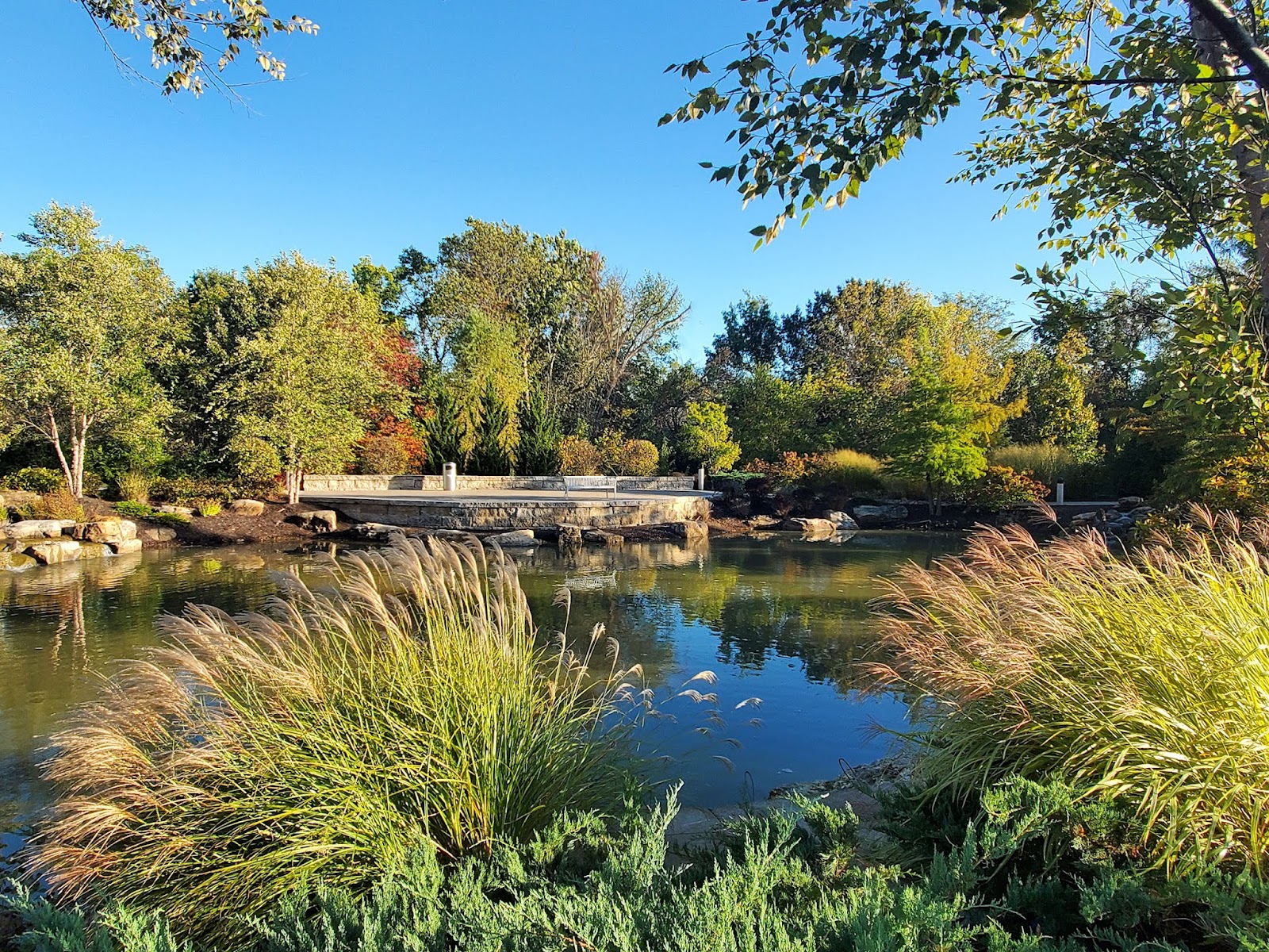 Molly Bowden Memorial Park