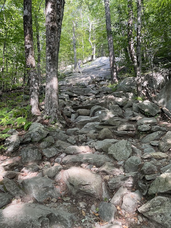 Monadnock State Park grounds