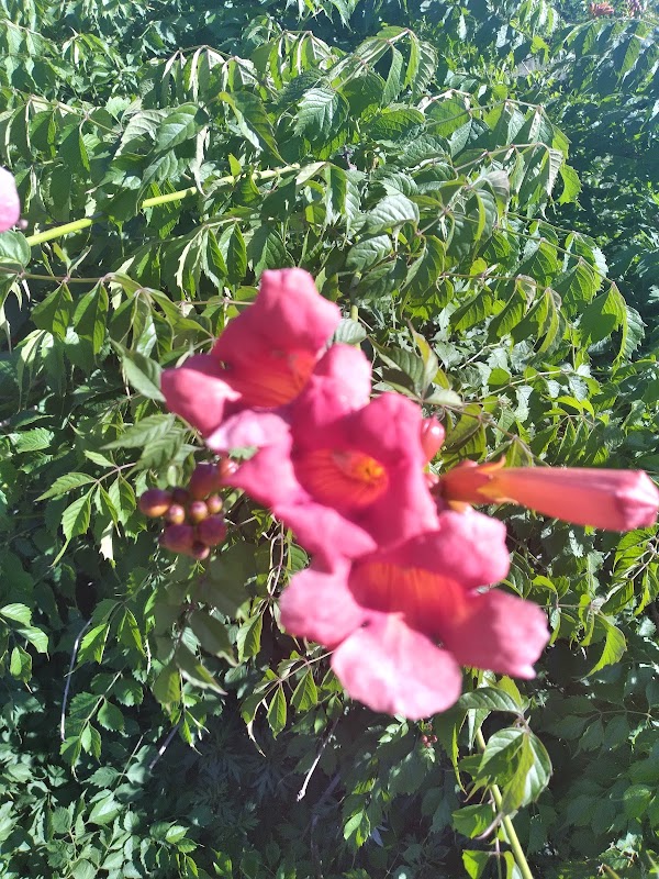 Monmouth Memorial Park grounds