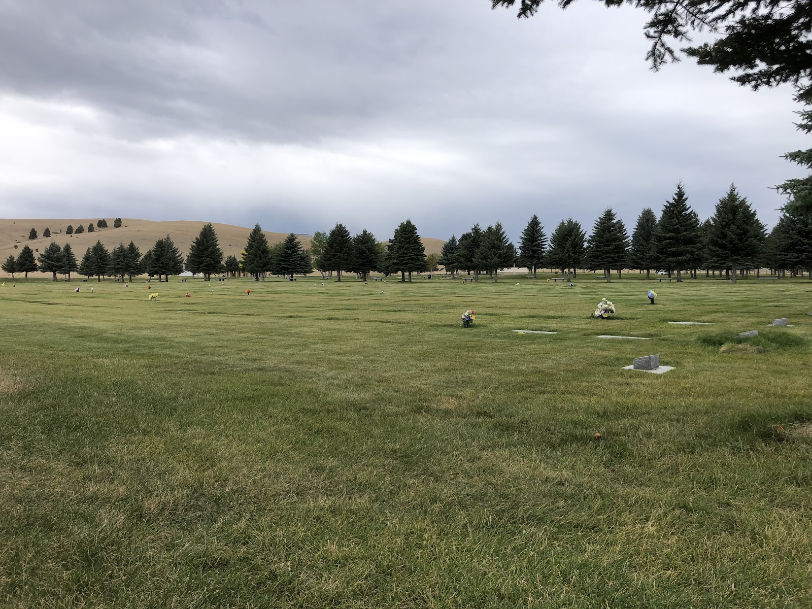 Montana State Veterans Cemetery - Fort Harrison cemetery grounds and headstones