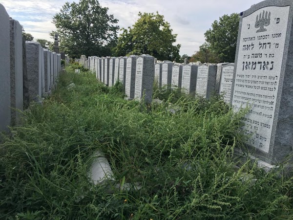 Montefiore Cemetery grounds