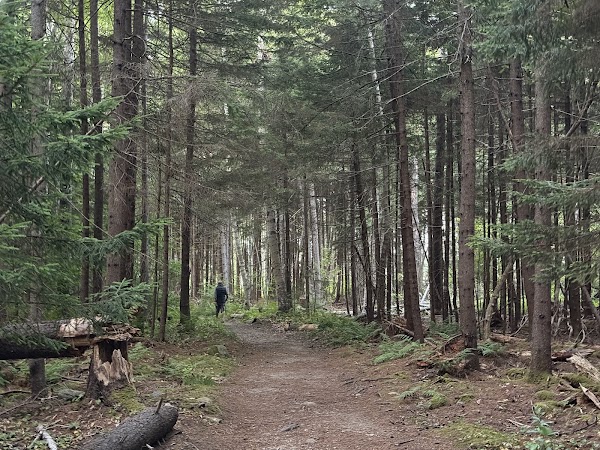 Moose Point State Park grounds