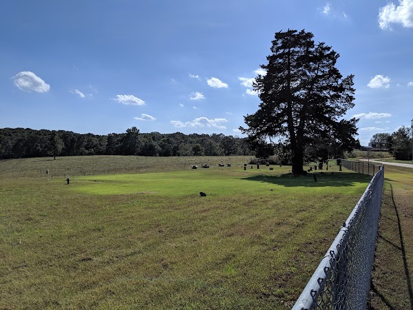 Mount Ararat Cemetery - Topaz County, Cabool Missouri grounds