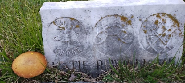 Mount Auburn Cemetery grounds