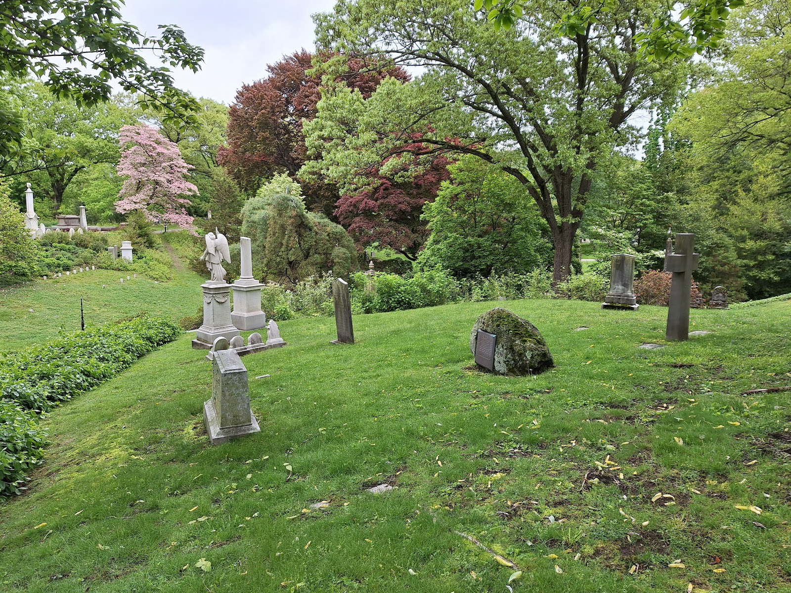 Mount Auburn Cemetery