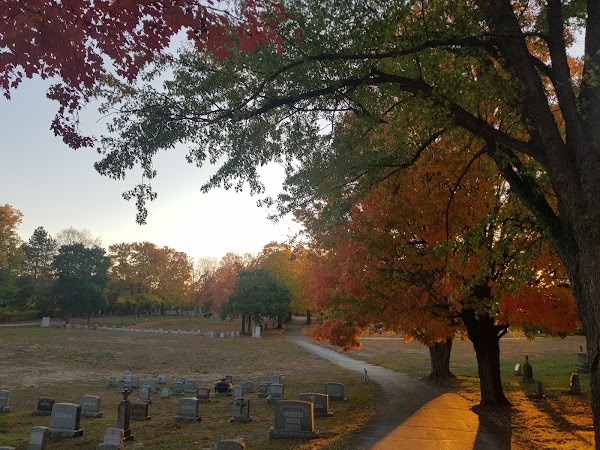 Mount Calvary Cemetery grounds