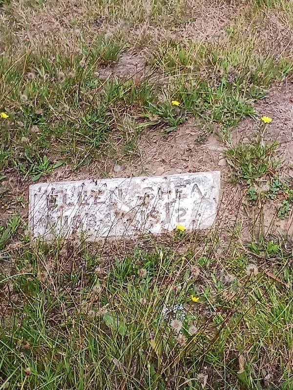 Mount Carmel Cemetery grounds